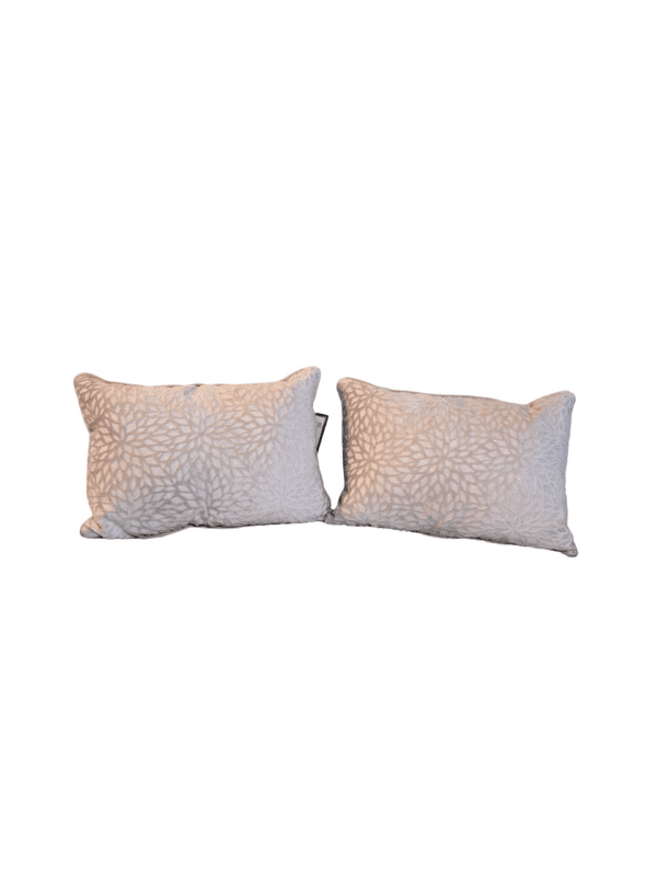 A pair of pillows with a white background