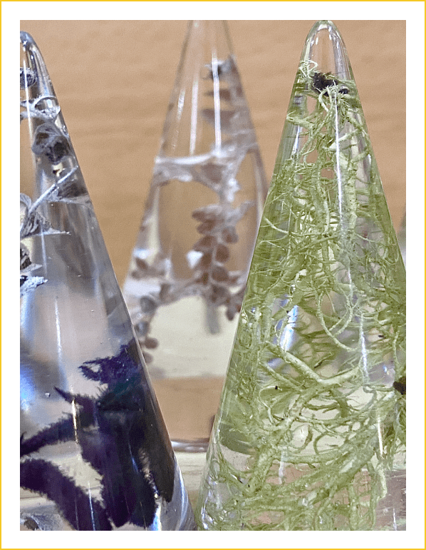 Group 14 (1) Three glass cones with plants growing inside of them.