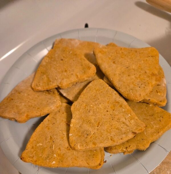 A plate of tortilla chips on the counter.