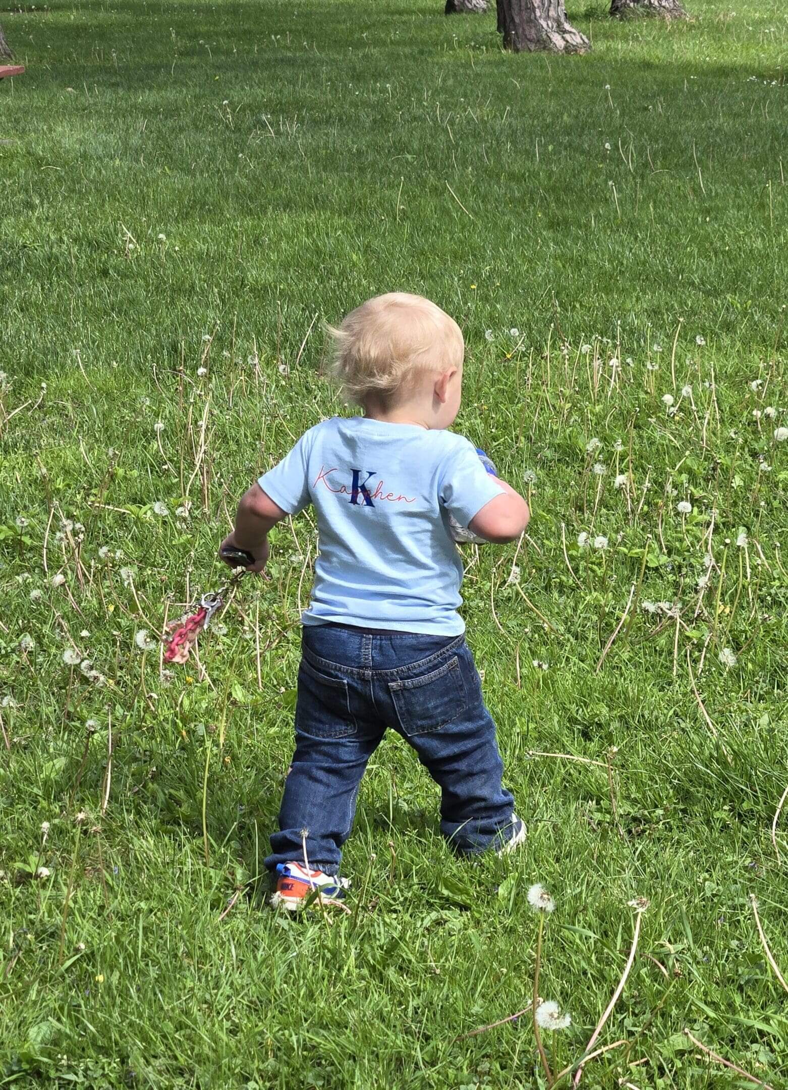 Toddler walking through grassy field with dandelions.